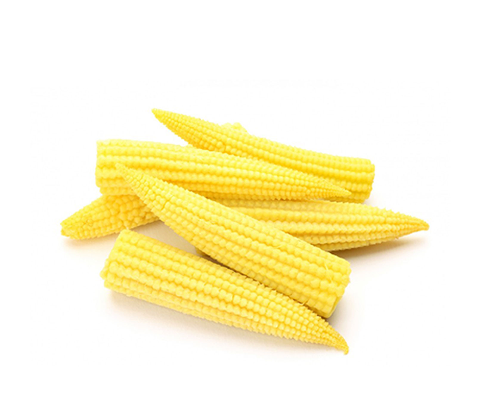 Retis lapen casen