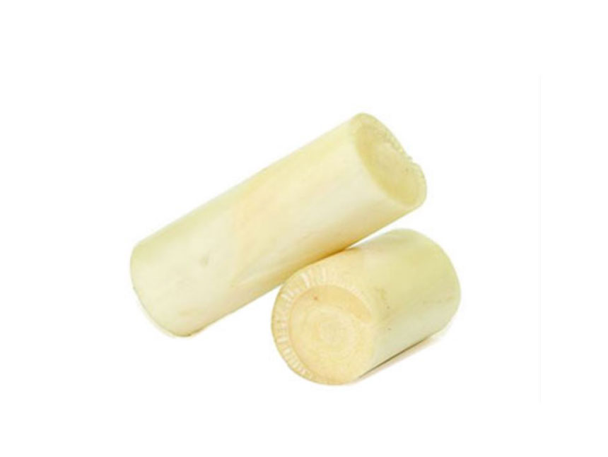 Retis lapen casen