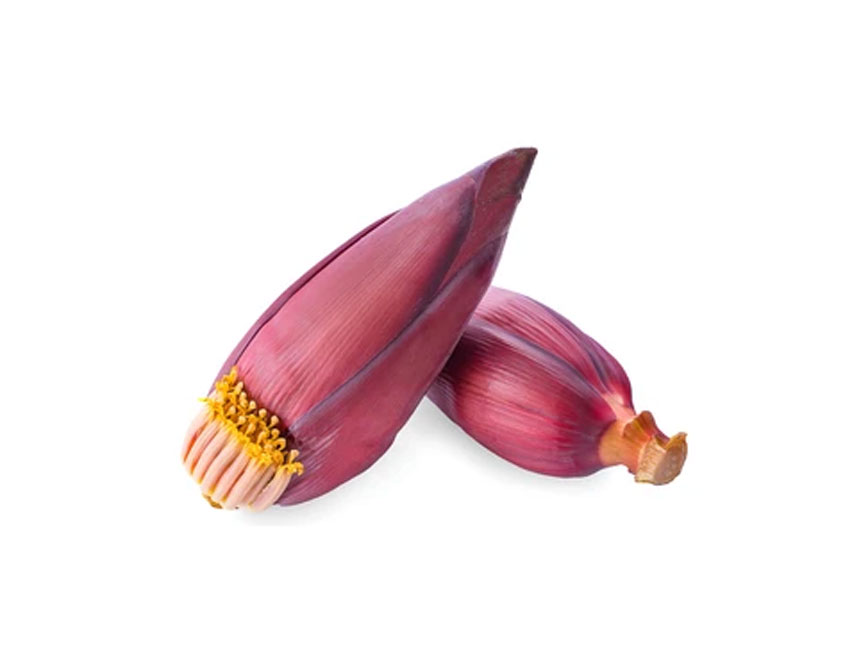 Retis lapen casen